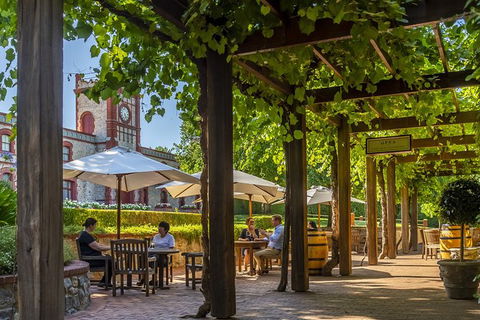 Yalumba Nursery & Grenache Discovery Tour + Platter Lunch - South Australia Travel 4