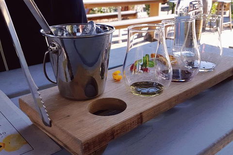 Tipple Of Gin Experience Tour - South Australia Travel 3