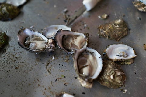 Fine Flavours - Full Day Kangaroo Island Food & Wine Tour - South Australia Travel 10
