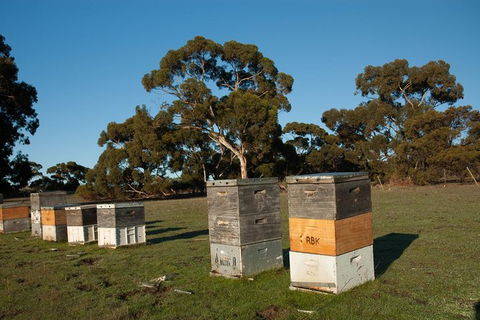 Fine Flavours - Full Day Kangaroo Island Food & Wine Tour - South Australia Travel 5
