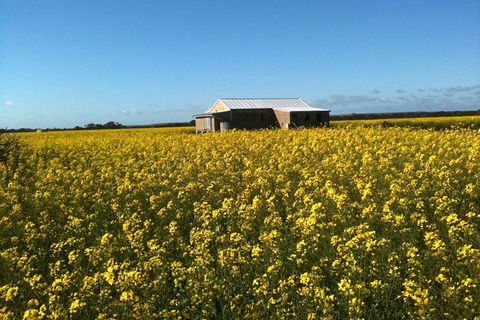 Fine Flavours - Full Day Kangaroo Island Food & Wine Tour - South Australia Travel 11