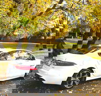 Luxury Jaguar Barossa Valley Half Day Private Tour For 2 - South Australia Travel