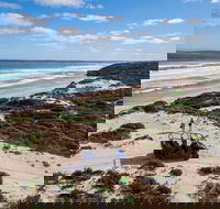 Small-Group Buggy Tour at Little Sahara with Guide - South Australia Travel
