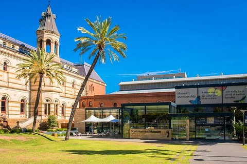 Arrival Private Transfers: Adelaide Airport ADL To Adelaide In Business Car - South Australia Travel 6