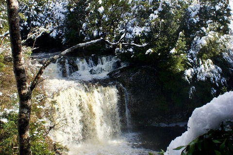 Cradle Mountain Park Explorer - South Australia Travel 1