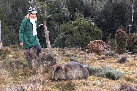 Shore Excursion - Cradle Mountain Day Tour From Burnie - South Australia Travel 1
