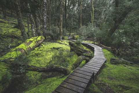 Shore Excursion - Cradle Mountain Day Tour From Burnie - South Australia Travel 2