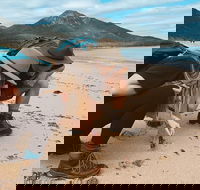 Freycinet Walking Tour - South Australia Travel