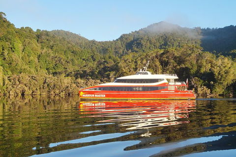 Afternoon Gordon River Dinner Cruise - Departing 3pm - South Australia Travel 1