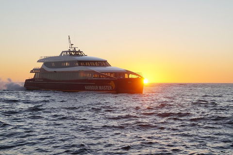 Afternoon Gordon River Dinner Cruise - Departing 3pm - South Australia Travel 0