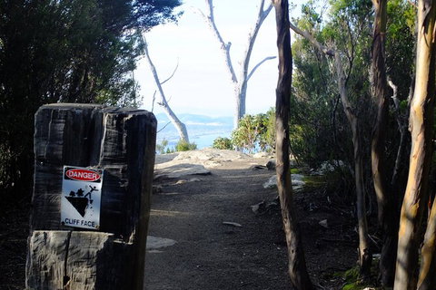 Mt. Wellington Morning Hike + Afternoon Beer & History Walk - South Australia Travel 14