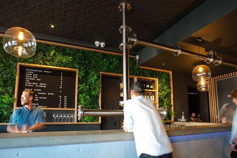 Mt. Wellington Morning Hike + Afternoon Beer & History Walk - South Australia Travel 15