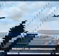 Private Transfer Avalon International Airport AVV to Melbourne - South Australia Travel