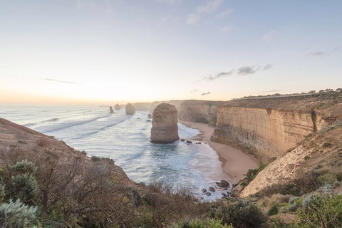 PRIVATE Great Ocean Road Tour And 12 Apostles With Wildlife Spotting - South Australia Travel 0