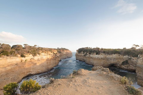 PRIVATE Great Ocean Road Tour And 12 Apostles With Wildlife Spotting - South Australia Travel 1