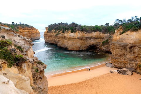 The Great Ocean Road 1 Day Private Sunset Tour - South Australia Travel 3