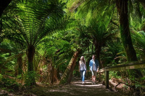 The Great Ocean Road 1 Day Private Sunset Tour - South Australia Travel 1