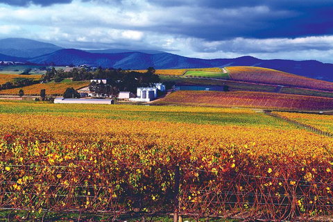 Behind-the-Scenes De Bortoli Gourmet Food And Wine Tasting Tour Including 3-Course Lunch - South Australia Travel 2