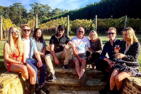 Daylesford Private, Corporate, Group Wine Tours: Wine, Cider, Gin, Vodka, Port! - South Australia Travel 1