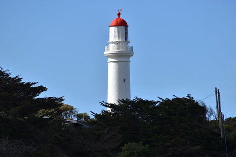 Great Ocean Road Tour Plus Koalas, Forest Walk And Morning Tea. - South Australia Travel 1