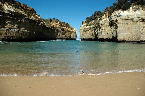 Great Ocean Road Tour Plus Koalas, Forest Walk And Morning Tea. - South Australia Travel 4
