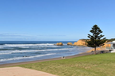 Great Ocean Road Tour Plus Koalas, Forest Walk And Morning Tea. - South Australia Travel 3