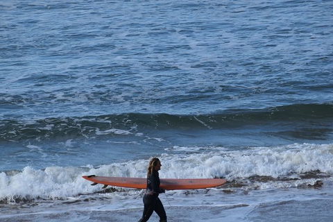 Great Ocean Road Tour Plus Koalas, Forest Walk And Morning Tea. - South Australia Travel 8