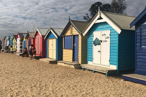 Tour 1 - Full Day, Wine Tasting Plus Lunch. - South Australia Travel 1