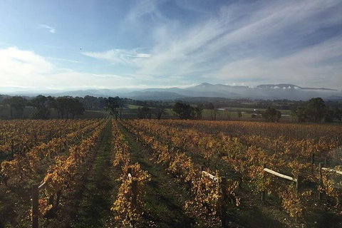 Tour 1 - Full Day, Wine Tasting Plus Lunch. - South Australia Travel 2