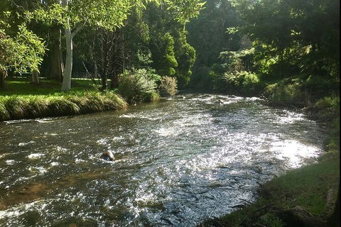Watertube Experience In Yarra River - South Australia Travel 3