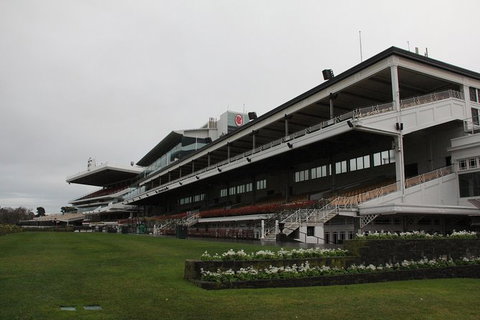 Ultimate Sports Lovers Bus Tour Of Melbourne - South Australia Travel 10