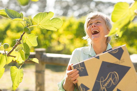 Mornington Peninsula 2-6 Guests Lunch And Inc Wine Tasting At Quealy Winemakers - South Australia Travel 4