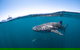 Whale Shark Safari - thumb 3