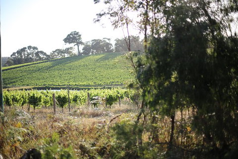 All Inclusive Surf Camp In Margaret River Region - South Australia Travel 3