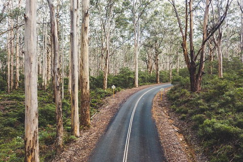 All Inclusive Surf Camp In Margaret River Region - South Australia Travel 2