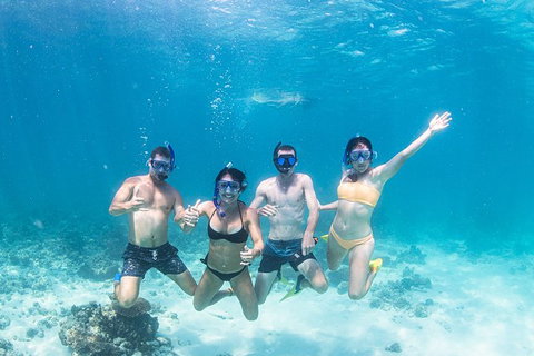 Full-Day Whale Sharks Swimming Experience On Ningaloo Reef - South Australia Travel 5