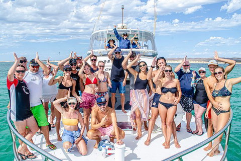 Full-Day Whale Sharks Swimming Experience On Ningaloo Reef - South Australia Travel 1