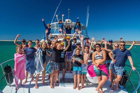 Full-Day Whale Sharks Swimming Experience On Ningaloo Reef - South Australia Travel 15