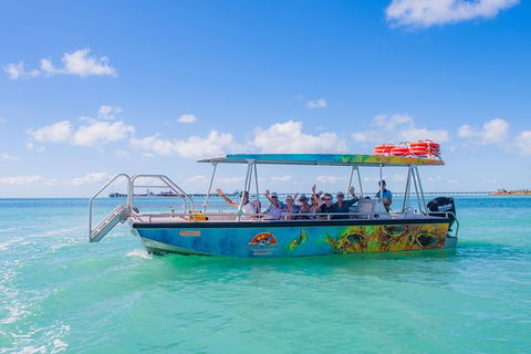The Island Sandbar Experience - South Australia Travel 5
