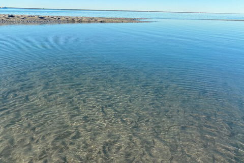 The Island Sandbar Experience - South Australia Travel 4