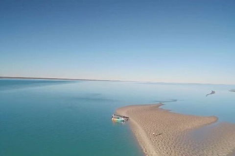 The Island Sandbar Experience - South Australia Travel 6