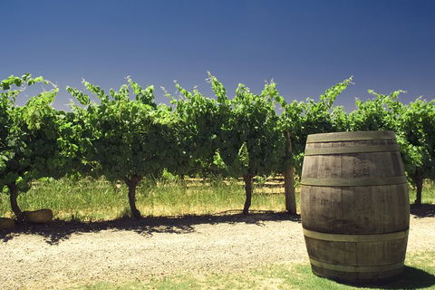 Pinnacles Desert Private Tour - South Australia Travel 4