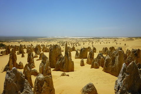 Pinnacles Desert Private Tour - South Australia Travel 5