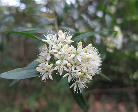 Booderee National Park - South Australia Travel 0