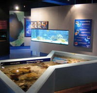 Marine and Freshwater Discovery Centre - South Australia Travel