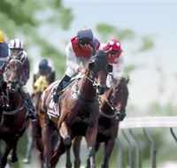 Colac Turf Club - South Australia Travel