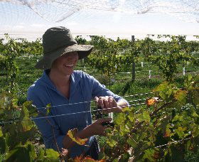 Golspie NSW South Australia Travel