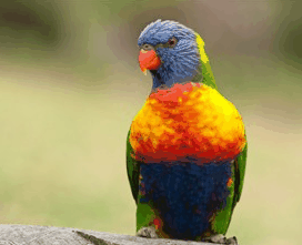 Booderee National Park - South Australia Travel 1