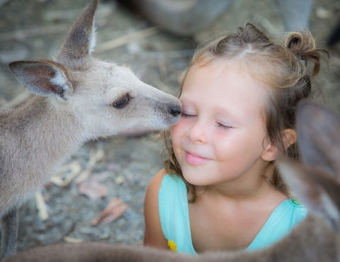 Wildlife Habitat - South Australia Travel 2