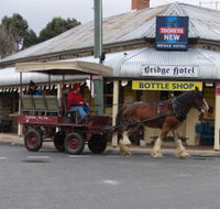Bathurst Farm Experience - South Australia Travel